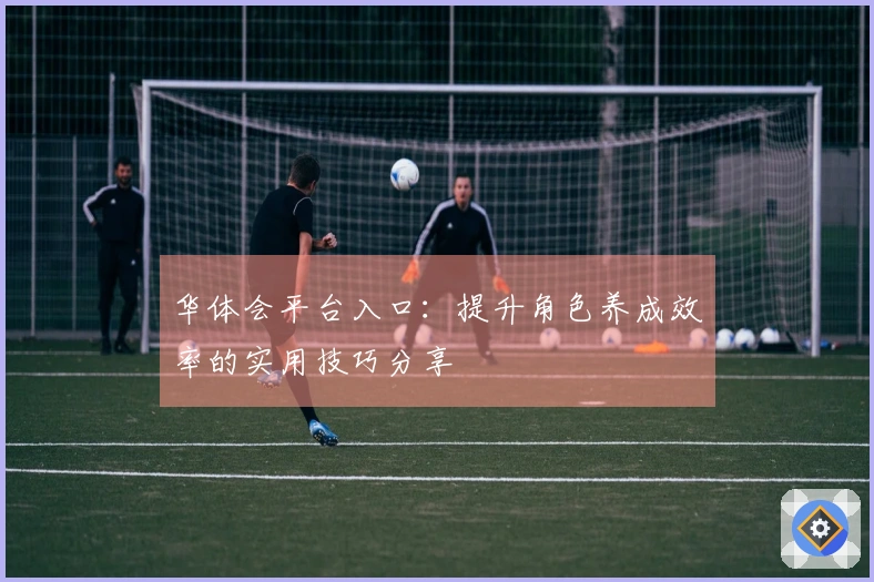 华体会平台入口：提升角色养成效率的实用技巧分享