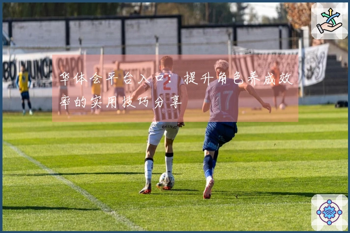 华体会平台入口：提升角色养成效率的实用技巧分享