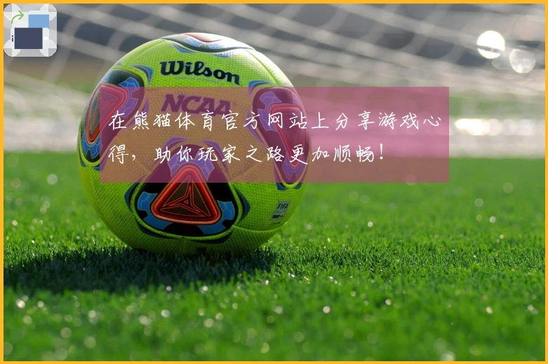 在熊猫体育官方网站上分享游戏心得，助你玩家之路更加顺畅！